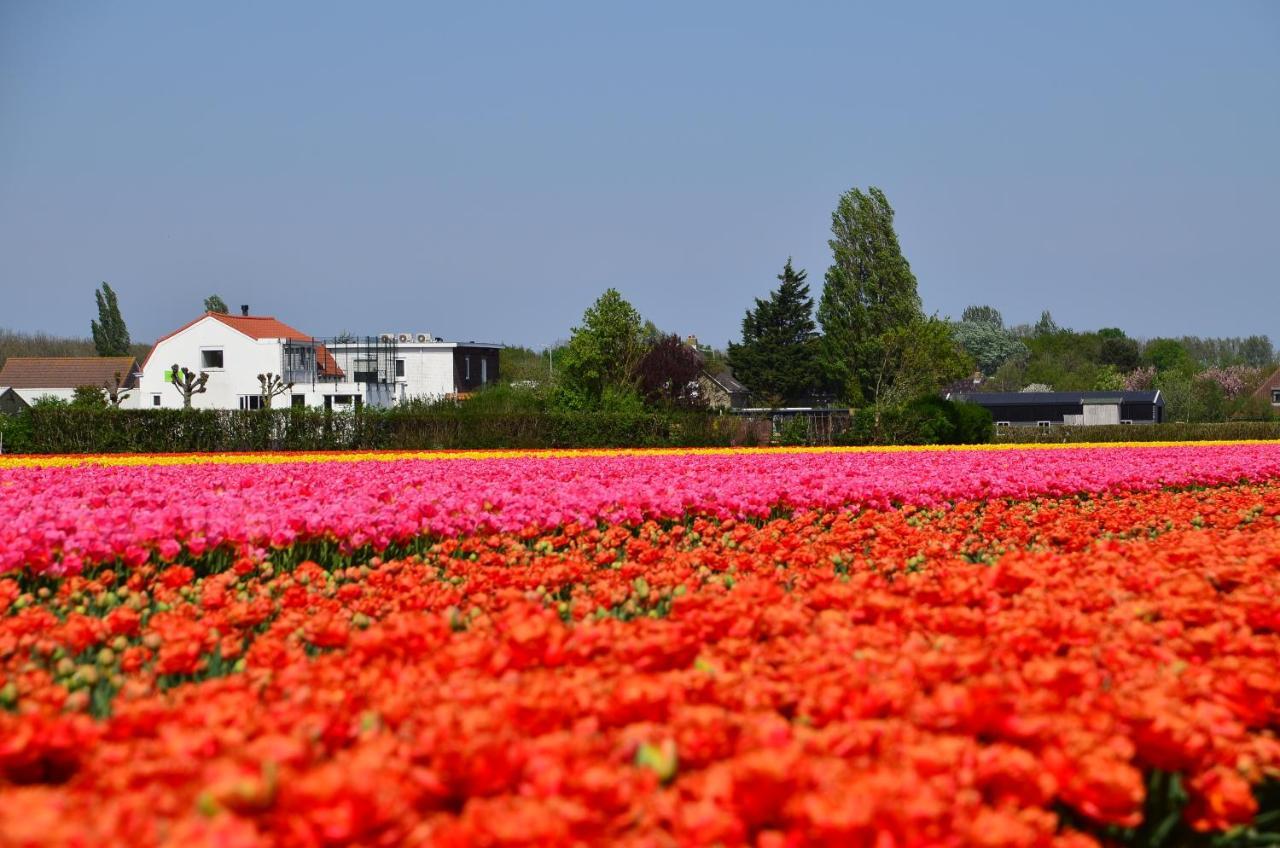 Wellness Bed & Breakfast Pergamo Voorhout 외부 사진